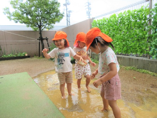 2024.7月-1みすずキッズ