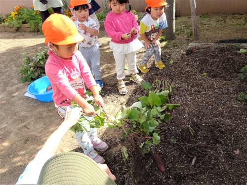 2024.10月-1みすずキッズ