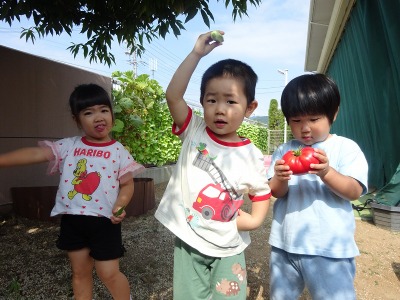 2026.8月-1みすずキッズ
